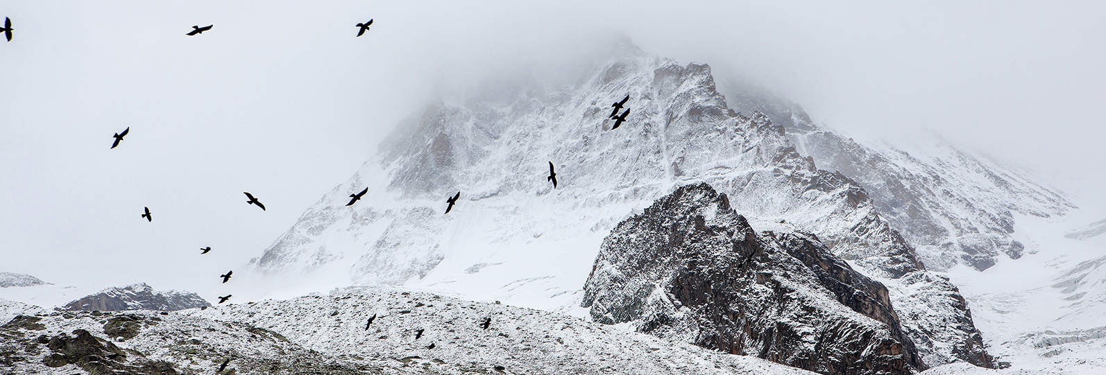 Mountain with birds